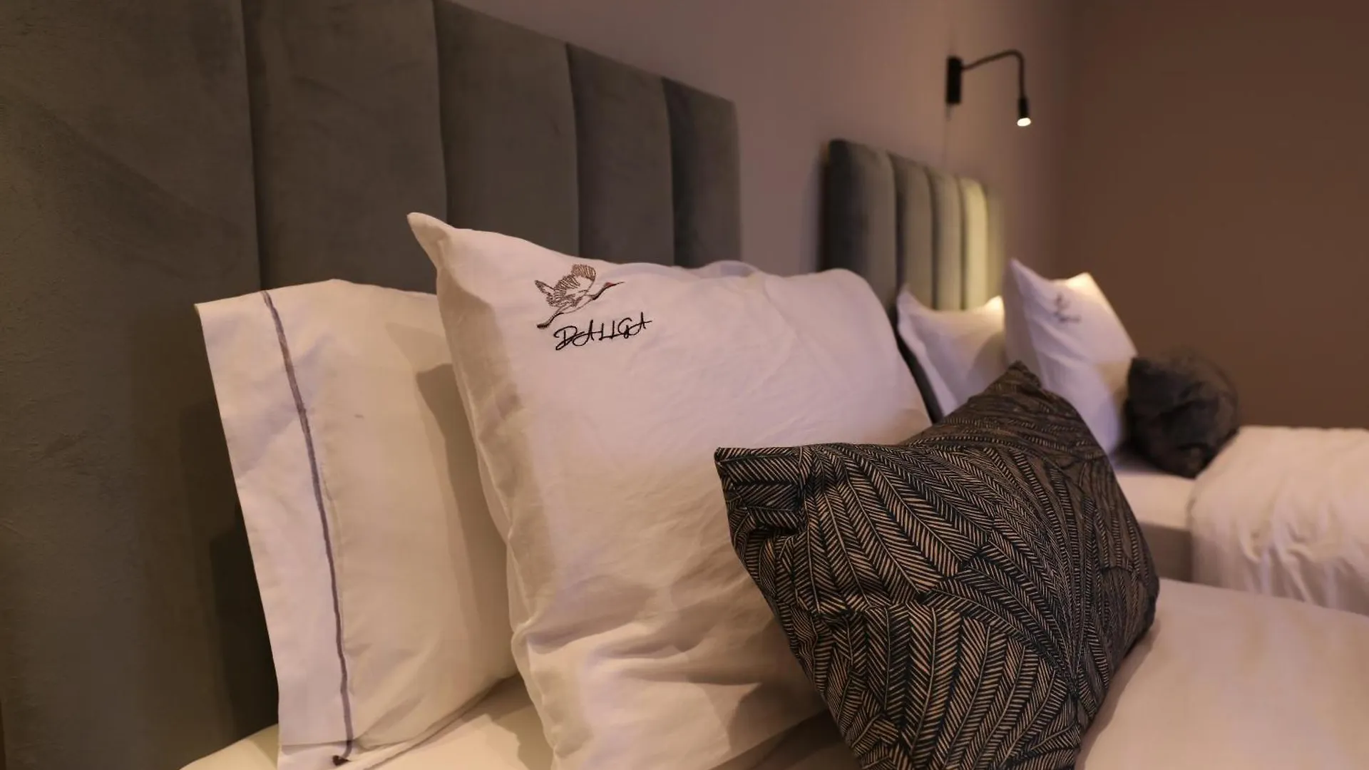 Hotel Dallga Suites Tushemisht